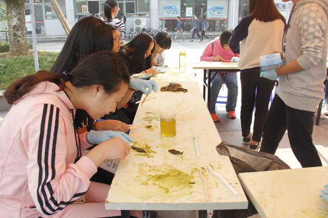 认真参与的同学们