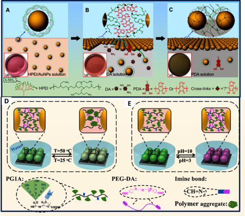 图2多巴胺自聚调控的纳米金粒子液液界面自组装（A-C）；烷氧醚树枝化体系共聚物调控的纳米金粒子单层膜以及双刺激响应性（D和E）。